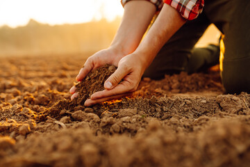 Expert hand of farmer checking soil health before growth a seed of vegetable or plant seedling. Soil, cultivated dirt. Organic gardening, agriculture.