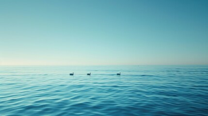 Wall Mural - Geese swimming in azure water under clear skies