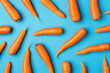 Fresh and vibrant organic carrots on a bright blue background, arranged neatly in a top view flat lay composition