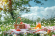 Picnic concept. Food and drinks on grass