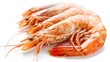 Fresh Vannamei Shrimp - Delicious Edible Seafood Closeup on White Background