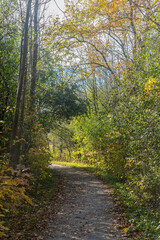 Poster - Fall time in park