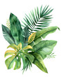 © Oksana - Watercolor tropical leaves and jungle plants isolated on white background