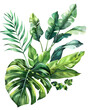 © Oksana - Watercolor tropical leaves and jungle plants isolated on white background