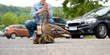 Duck family walking on a city road with cars, people trying to rescue birds from traffic, mother with ducklings, urban wildlife
