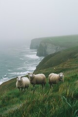 Wall Mural - Sheep Standing on Top of Lush Green Hillside