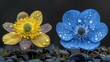   A blue flower and a yellow flower, each with droplets of water, seem suspended in mid-air
