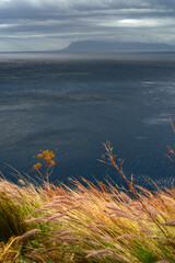 Poster - Sea landscape from coastline trail of Zingaro Nature Reserve Park between San Vito lo Capo and Scopello Trapani province, Sicily, Italy	
