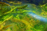 Fototapeta Łazienka - Green water surface with shine abstract 
background