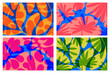 © Nydia Lilian - Set Summer vibes Vibrant Floral Abstract Wallpaper background flat design colorful primary colors