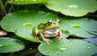 Green frog sitting on lily leaves at pond nature environment. Biology ecosystem. Generative AI