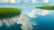Calm lake with green reeds and reflective clouds