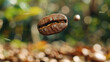 Falling roasted arabica coffee bean on blurred coffee plantation background.