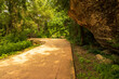 A pathway in an urban park, the sunlight filters through the thick canopy of trees, In the background, a tranquil park bench awaits, inviting visitors to relax in the Texas Hill Country.