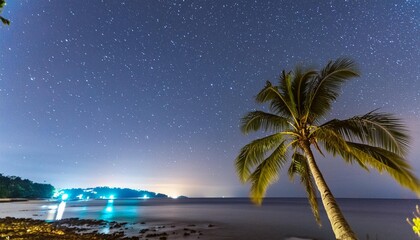 Wall Mural - stars and palm tree in the philippines