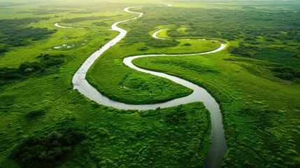 Wall Mural - Scenic aerial view showcasing a meandering river snaking through lush green meadows
