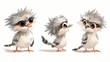 Three cute cartoon kookaburra birds with big eyes and fluffy feathers.