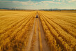 Car driving down a dirt road through a field of golden wheat.