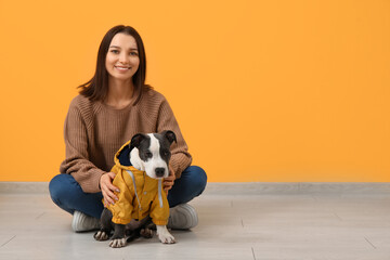 Wall Mural - Beautiful young woman with cute staffordshire terrier puppy near yellow wall