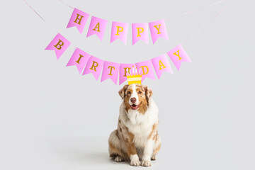 Cute Australian Shepherd dog in headband and garlands with text HAPPY BIRTHDAY on grey background