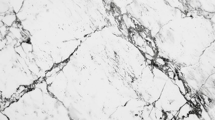 Poster - High resolution white marble texture