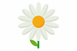 © CreativeDesigns - daisy flower vector illustration