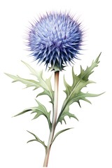 Wall Mural - Thistle