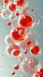 © GradPlanet - Microscopic Close-Up of Red Blood Cells