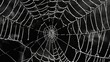© tnihousestudio - Spider web with dew drops close up.