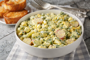 Wall Mural - Egg Salad with radishes, green onions and cucumber dressed with mayonnaise close-up in a bowl on the table. Horizontal