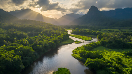 Wall Mural - landscape in the morning