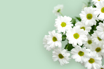 Wall Mural - Bouquet of flowers of white chamomile, daisies or chrysanthemum on a green background. Beautiful Floral background for Birthday, Women's day, Mother's day, Easter