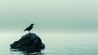 A bird that is sitting on a rock in the water
