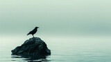 Fototapeta Kwiaty - A bird that is sitting on a rock in the water
