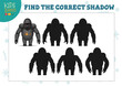 Find the correct shadow for cute cartoon humanoid robot educational preschool kids mini game. Vector illustration with 4 silhouettes for shadow matching puzzle