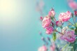 Pink roses blooming on clear blue sky background