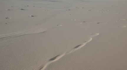 Wall Mural - White sand texture background