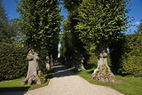 Fototapeta Las - Alley of lime trees in the palace garden of Egeskov near Kvaerndrup, island of Funen, Denmark, Europe
