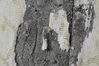 Torn old faded paper wallpaper with a retro pattern. Tattered scraps of paper on a concrete wall. Vintage texture for background and design. Closeup view with copy space. High resolution.