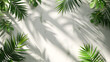 natural shadow of tropical leaves