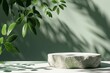 Marble podium with plant shadows on a green background for product display