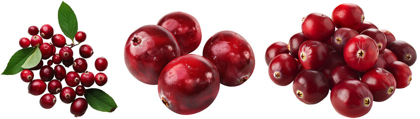 Wall Mural - Cranberry collection isolated on a white background