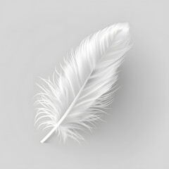 Wall Mural - White fluffy feather isolated on light grey background