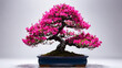 Petite azalea bonsai bursting with vibrant pink blossoms pristine white backdrop dreamy bokeh stock visual