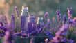 Bottles of aromatherapy essential oil with fresh lavender flowers outdoors in summer