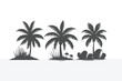 © Moin by - palm tree black silhouettes Vector design