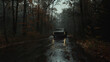 Vintage car headlights pierce through a foggy, mysterious forest road.