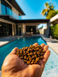 A man holding a handful of dog food in front of a pool.