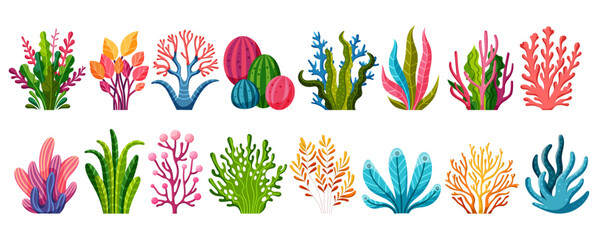 Collection of ocean and sea plants, underwater flora, seaweeds, marine life. Set of aquatic plants, algae, tropical seabed vector element.
