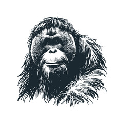 Sticker - The orangutan black white vector isolated.